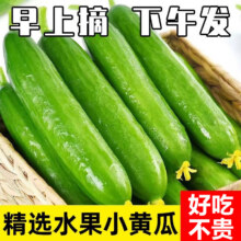 粤迎 绿心猕猴桃 4.5-5斤13.99元