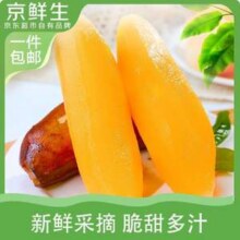 京鲜生 云南高山雪莲果 3斤 单果150g+9.9元包邮