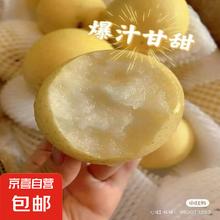 河北饶阳 皇冠梨 180g+ 带箱4斤净重3.5斤4.99元