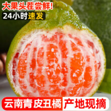 粤迎丑橘 净4.5-5斤精选果【单果70mm+】14.9元