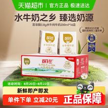 百菲酪 BONUS 水牛纯奶