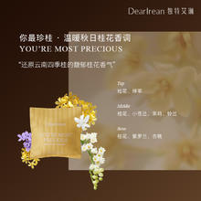 独特艾琳 车载香氛