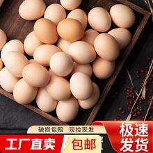 无品牌 农户散养新鲜鸡蛋 40g±5/枚 10枚