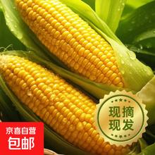 京喜 无品牌 国产精品甜玉米 1.8-2斤 300g起/根1.06元
