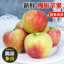 某宝买菜农场直发！ 陕西嘎啦苹果（70mm以上）净重4.5斤￥9.19 3.0折