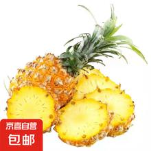 京喜 徐闻菠萝香水菠萝 650g 单果0.01元