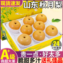 粤迎 山东秋月梨 5斤精选果【手挑好果】净4.5斤15.6元
