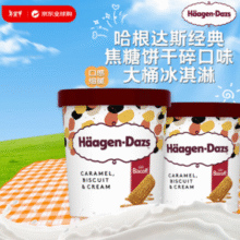 Häagen·Dazs 哈根达斯 大桶冰淇淋组合装 473ml￥41.25