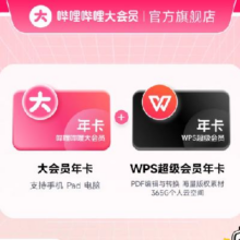 哔哩哔哩 大会员年卡+WPS超级会员年卡