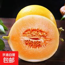 有券的上：甘肃民勤沙漠蜜瓜新鲜采摘产地发货 小果（单果≥500g）2斤