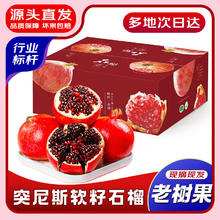 有券的上：果跃霖 突尼斯软籽石榴 净4.5-5斤 单果约400g+券后12.9元