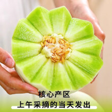 玉菇甜瓜 冰淇淋香甜瓜 5斤装【净重4.5-5斤】【1-3个】