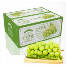 88VIP：PANZHIHUA FRUIT 阳光玫瑰葡萄2.7-3斤 中果 单果8-10g