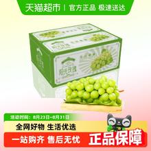 88VIP会员：PANZHIHUA FRUIT 四川西昌阳光玫瑰葡萄大颗粒新鲜水果券后17.86元