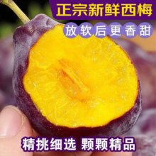 庾丰 新鲜当季现摘西梅 新鲜水果整箱 孕妇蓝蜜法兰西梅 团购送礼 5斤装（净果4.5斤）果王 源头直采 颗颗甄选25.9元 (券后省4,月销1w+)