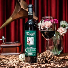 凱仕麗 Castaly 750ml*两瓶凯仕丽酒庄绿洲葡萄酒干型2012赤霞珠红酒