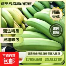 京喜 精品云南自然熟绿皮 精品高山蕉 9斤