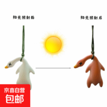 时尚饰品  变色烤鸭-树脂款-1个1元