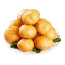 京鲜生恩施小土豆 3斤单果约10-40g 新鲜黄心土豆 马铃薯源头直发12.9元 (月销1000+)