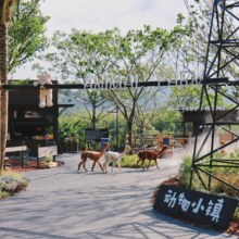 美团 麓湾牧场【不限人群票】门票+水集+澜艺术馆原价38.00元 现价38元