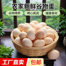 有券的上：农户散养新鲜鸡蛋 50g±5/枚 10枚