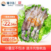 獐子岛 冷冻整只鱿鱼1斤 5-7条 铁板鱿鱼火锅烧烤食材 海鲜软足