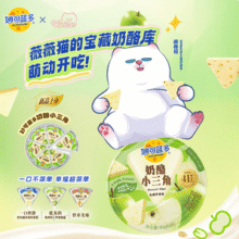 妙可蓝多&薇薇猫 奶酪小三角联名组合礼盒（90g*4盒+周边）*2件新低28.15元包邮（14.07元/件）