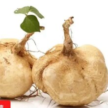 凉薯白地瓜 新鲜凉薯 2斤 带箱4.49元（需领券）
