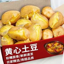 花慕辰 甘肃定西 黄心 爆皮 土豆 4.5斤装9.95元（需买2件，需用券）