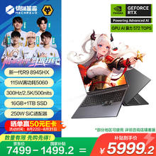 机械革命 蛟龙16Pro 2025 16英寸游戏电竞笔记本电脑(R9-8945HX 16G 1T RTX5060 300HZ 灰)