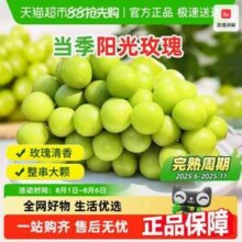 巧农人心田 阳光玫瑰葡萄 4.5斤 单果8-10g