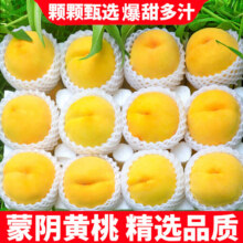 粤迎 山东蒙阴黄桃 5斤精选果【老农手挑】净4.5斤15.8元（需领券）