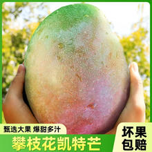 庾丰 当季新鲜金煌芒新鲜现摘芒果水果 热带整箱当季芒果 净重9斤装 单果200g+