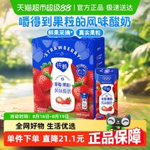 蒙牛 纯甄草莓果粒风味酸奶礼盒装酸甜草莓真实果粒
