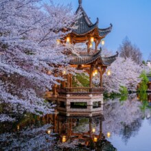 美团【苏杭·5天自由行】4晚住宿+景点门票现价868元（有平台优惠券更便宜），原价1900元