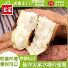 佳农 宝菜 哈密冰糖蜜薯 单果约100g+ 净重4.5斤