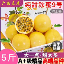 京格 特大果 广西 黄金 百香果 钦蜜9号 净重4.5斤 单果70-90g