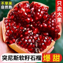 四川 突尼斯软籽石榴正宗甜石榴 软子无籽 4.5斤 250克+ 单果半斤以上 *1件14.57元（需领券）