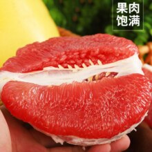 福建平和红心蜜柚净重5斤12.03元