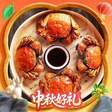 今日必买：湖鲜阳澄 HUXIANYANGCHENG 大闸蟹 全母2.5-2.8两 4对8只券后138元