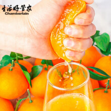 生活＆好管家 四川爱媛38号果冻橙 净重3斤 果径60-65MM【小果慎拍】9.9元（需领券）