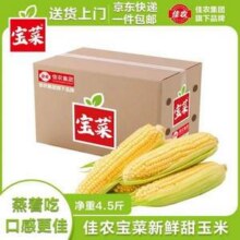 佳农 宝菜 山东新鲜水果玉米 净重4.5斤14.9元包邮（3.3元/斤）