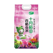 十月稻田香稻贡米5kg10斤装东北米粒圆润软糯香甜粳米香米旗舰店 【10斤装】香稻贡米5kg20.9元