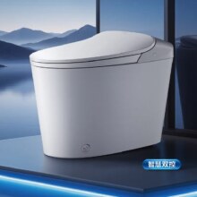 20点开始、PLUS会员：HEGII 恒洁 轻智能马桶611B泡沫盾翻盖翻圈脚感冲无水压DCQ611B-305