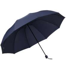 天堂 双人雨伞三折 雨伞加大加固三折晴雨伞全钢十骨大伞 乌木黑59.9元 (月销1000+)