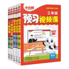 《小白鸥预习视频课》