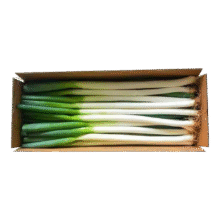 大葱去皮裁半叶新鲜蔬菜水果大葱调料 精选 3斤 现挖现发2.49元