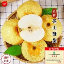 地标产品，京觅 砀山酥梨 净重4.5斤 6-9个 单果250g+16.9元包邮（3.75元/斤）