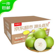 京鲜生 湖北翠冠梨 净重4.5斤 单果200g起 新鲜水果 源头直发 包邮券后12.9元