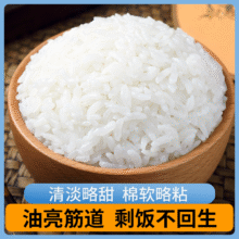 东铁村 五常大米10斤